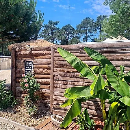 Insolite Vue Sur Le Ciel Etoile , Cuisine, Salle D Eau, 2 , Proche Du Zoo De La Palmyre Hotel *