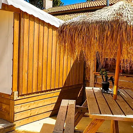 Insolite Vue Sur Le Ciel Etoile , Cuisine, Salle D Eau, 2 , Proche Du Zoo De La Palmyre Les Mathes