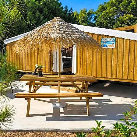 Insolite Vue Sur Le Ciel Etoile , Cuisine, Salle D Eau, 2 , Proche Du Zoo De La Palmyre * Les Mathes